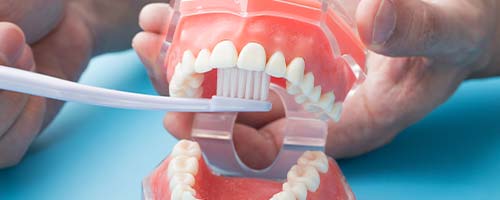 お口の状態を継続して把握できる予防プログラム